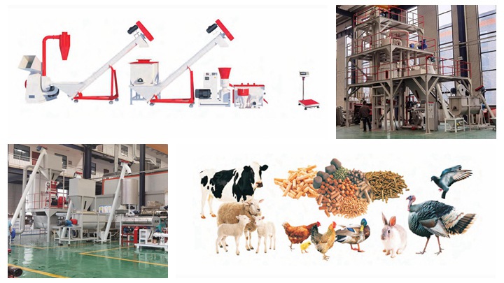 China Biofloc Fish feed production line